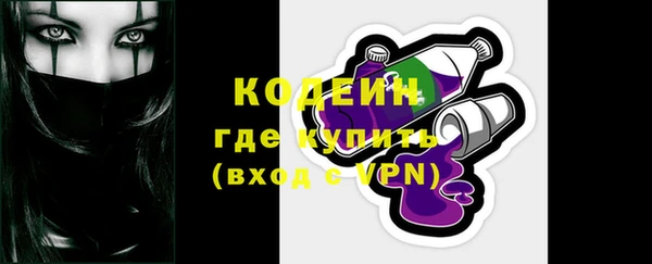 индика Няндома
