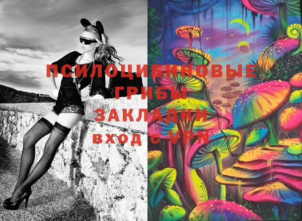 дмт Армянск