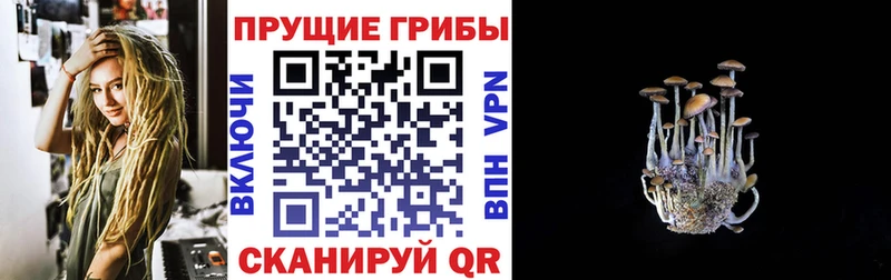 цены Остров Галлюциногенные грибы мухоморы